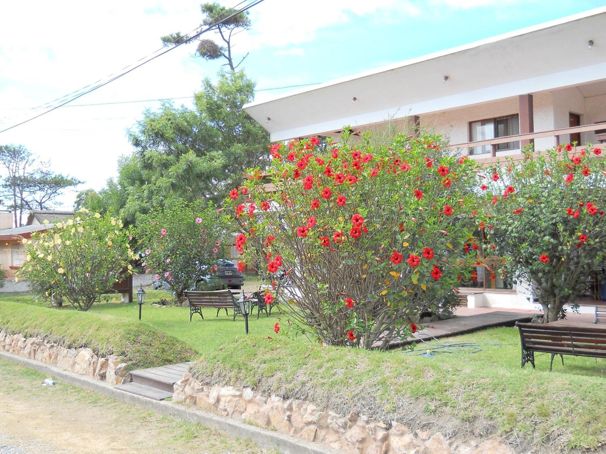 Hotel Yeruti La Paloma Extérieur photo